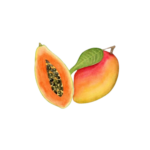Mango y papaya